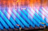 Selmeston gas fired boilers
